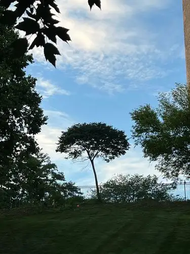 Standing tall under a painterly sky.